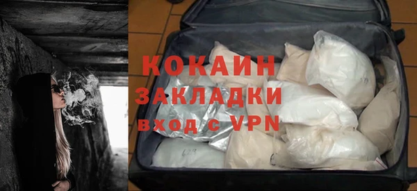 гидра Рославль