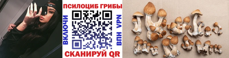 Галлюциногенные грибы Magic Shrooms  Артёмовск 